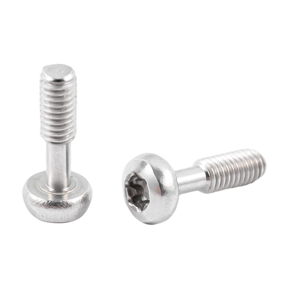 Невыпадающие винты Torx с полукруглой головкой из нержавеющей стали Невыпадающие винты Torx с полукруглой головкой из нержавеющей стали