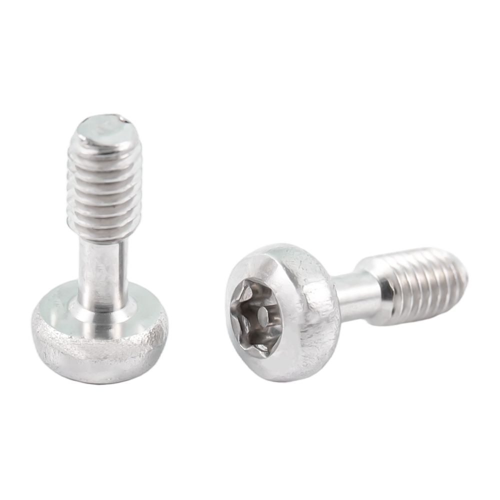 Невыпадающие винты Torx с полукруглой головкой из нержавеющей стали Невыпадающие винты Torx с полукруглой головкой из нержавеющей стали