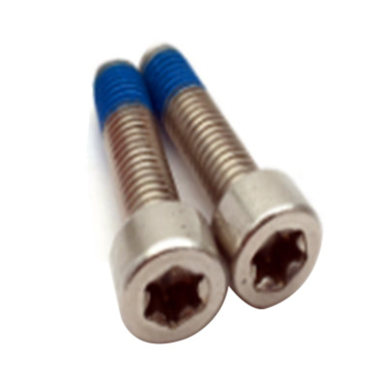 ISO14579 новый дизайн m6 torx со штифтом, медицинский винт с нейлоновым покрытием ISO14579 новый дизайн m6 torx со штифтом, медицинский винт с нейлоновым покрытием